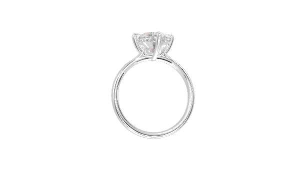 Solitaire Hidden Halo Cathedral - Moissanite Engagement Rings