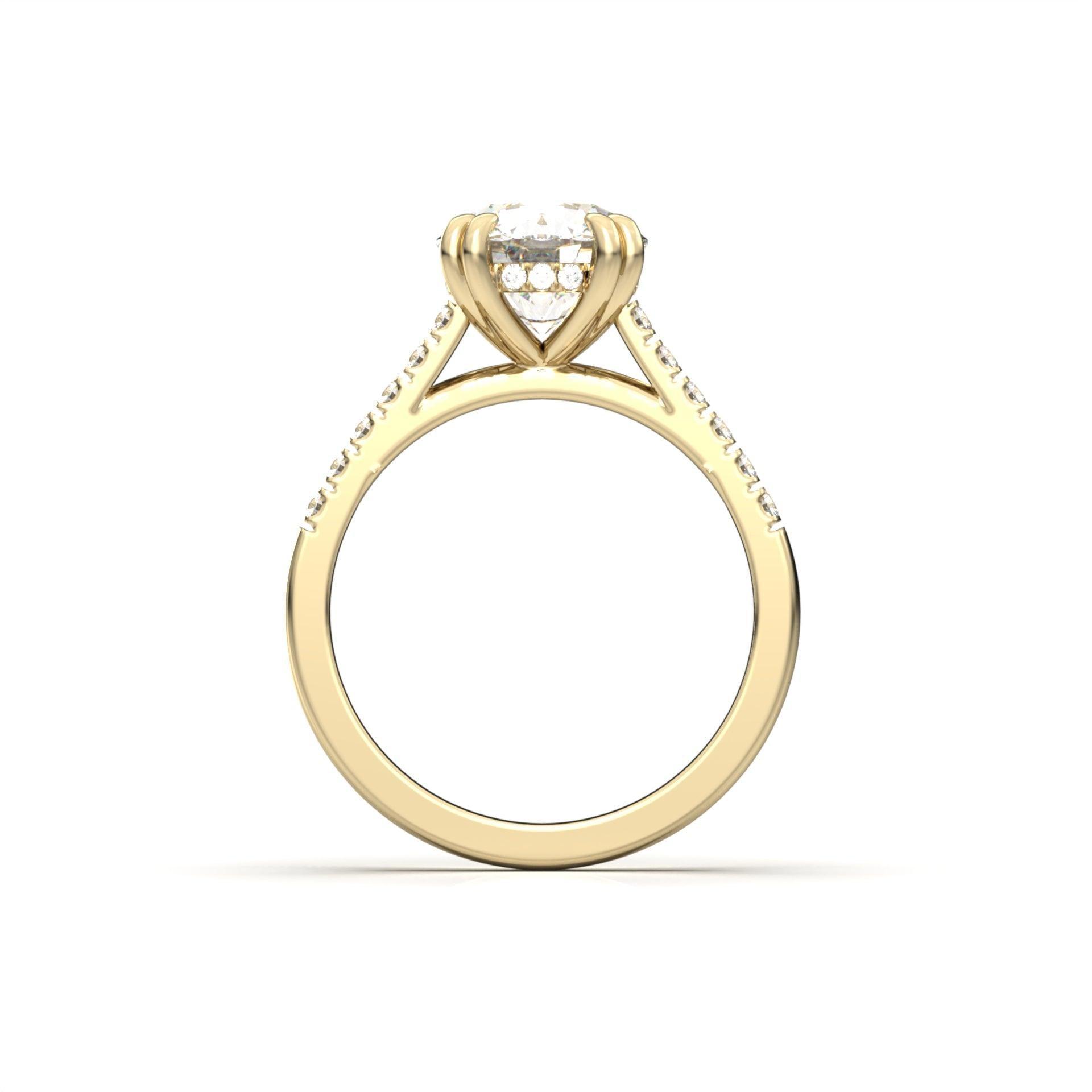 Round Hidden Halo Cathedral Diamond Engagement Ring - Moissanite Engagement Rings