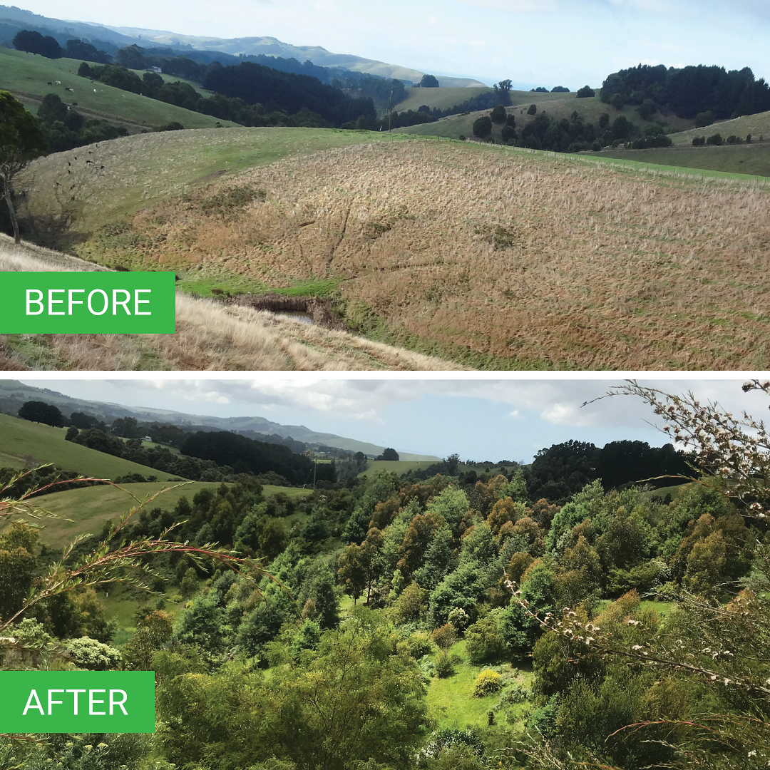 Before and after comparison of a landscape with greenery and hills.