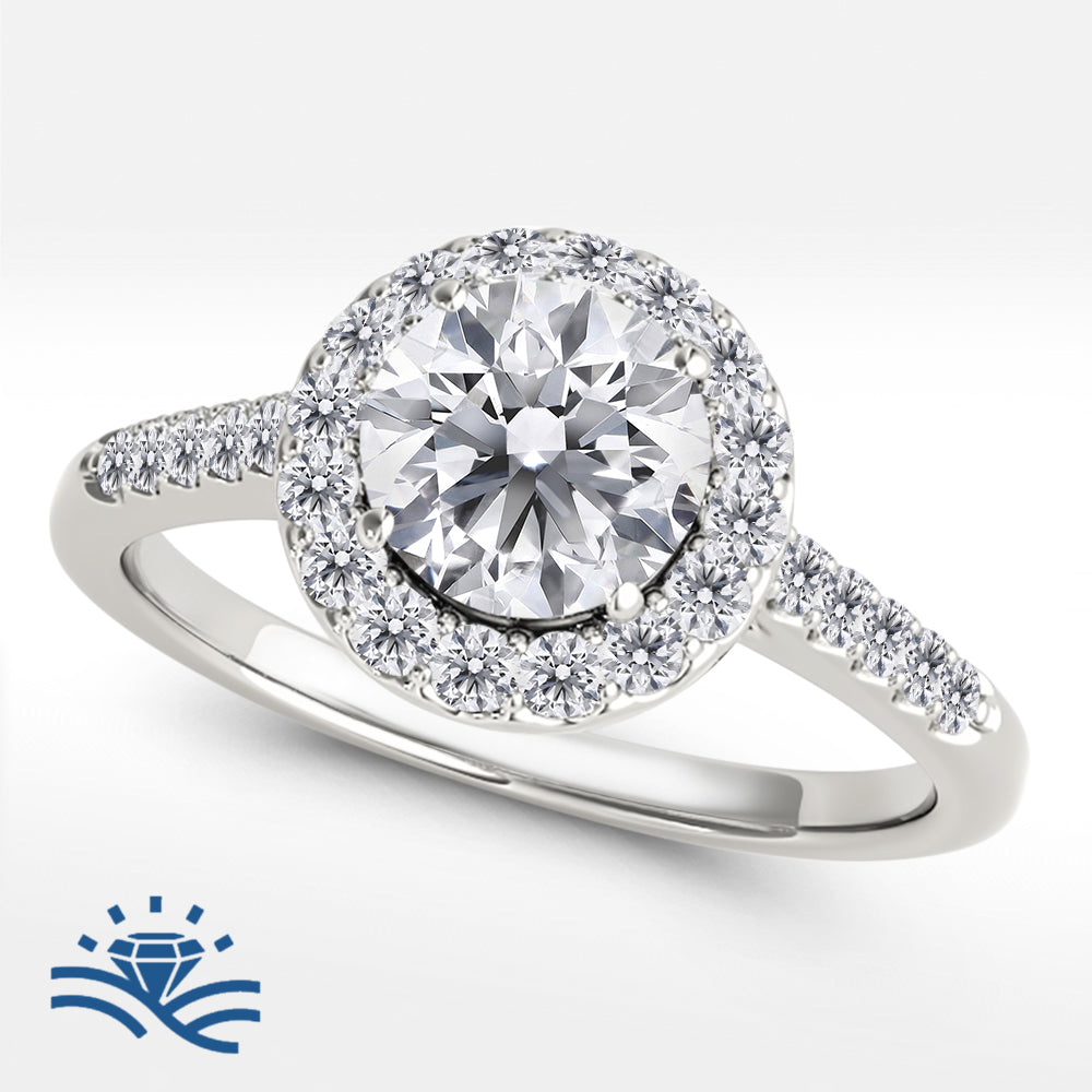 Round Single Row Halo Half Pavé Moissanite Engagement Ring