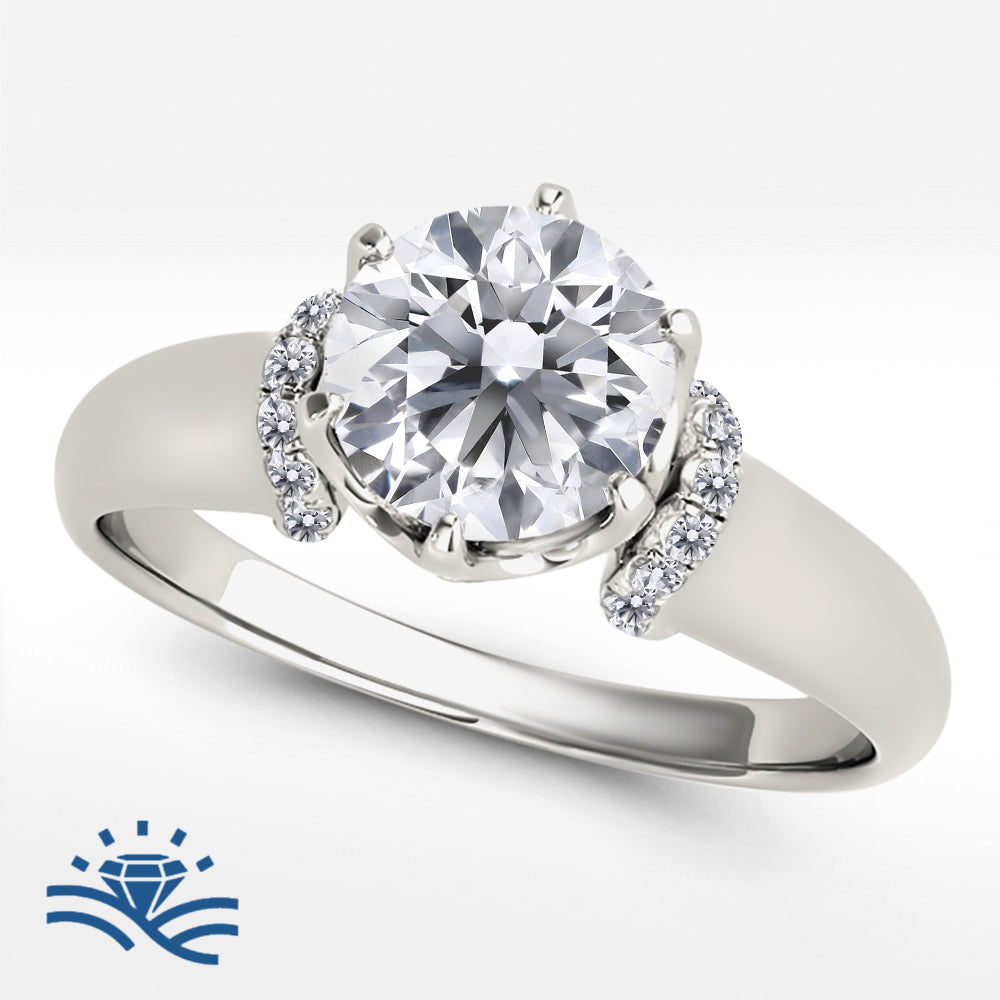 Round with Side Stones Moissanite Engagement Ring