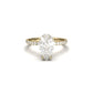 Pear Cut 4 Claw With Half Pavé And Hidden Halo - moissaniteengagementrings