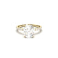 Cushion Cut 4 Claw With Full Pavé - moissaniteengagementrings