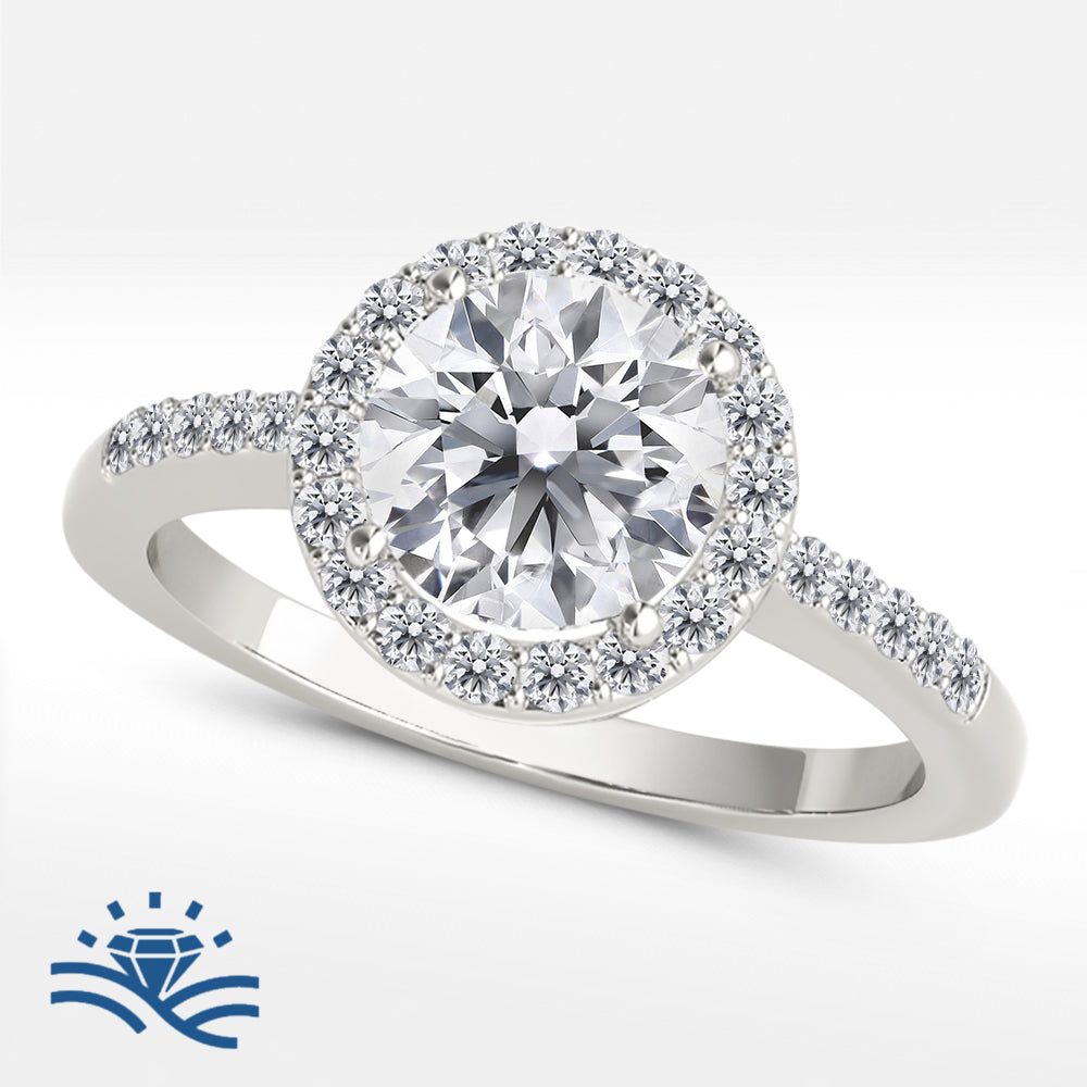 Round Halo Single Row Half-Pavé Moissanite Engagement Ring