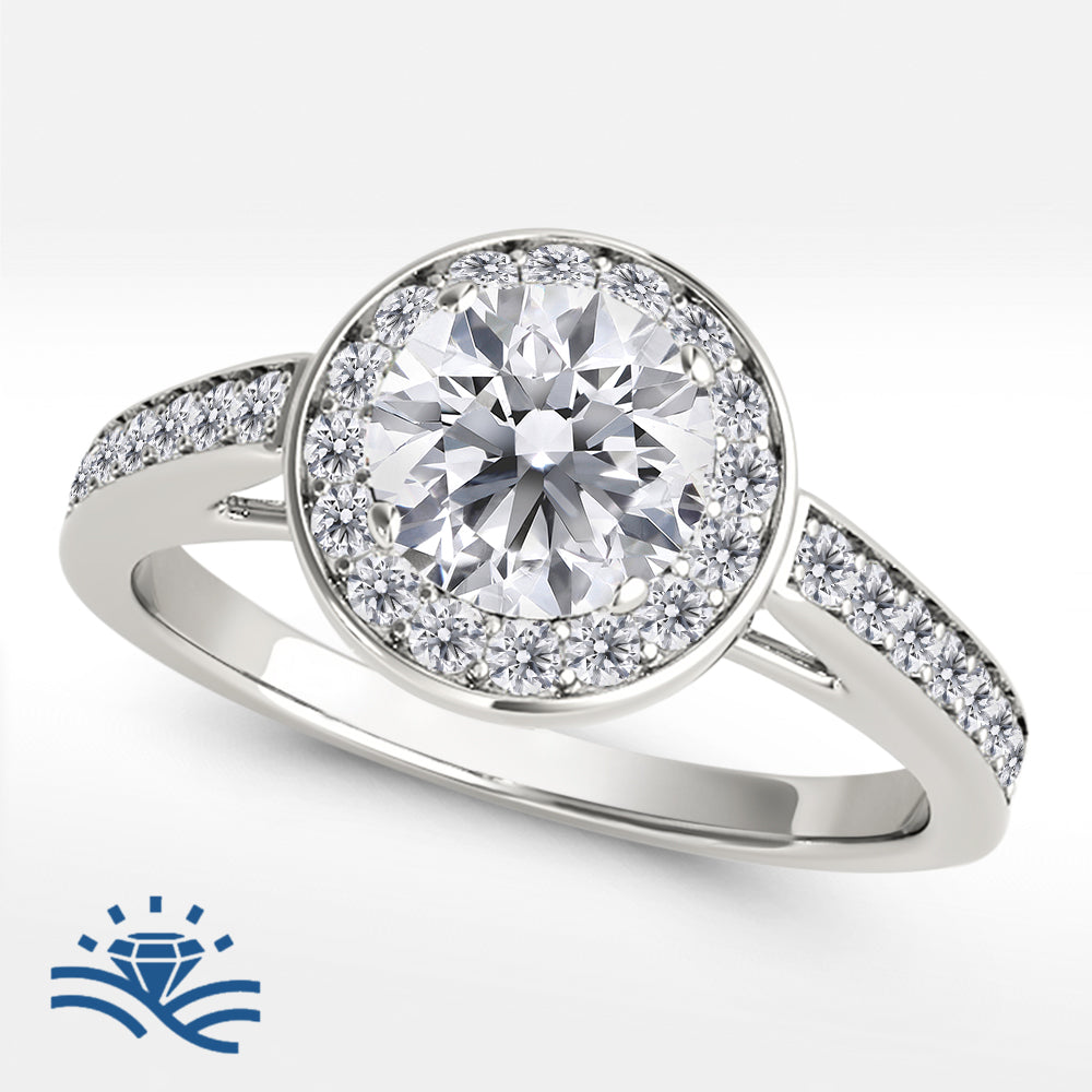 Round Halo Single Row Half Pavé Moissanite Engagement Ring