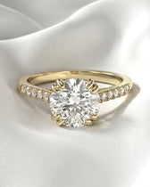 Aria: Round Hidden Halo Cathedral Diamond Engagement Ring