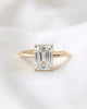 Avery: Emerald Hidden Halo Diamond Engagement Ring
