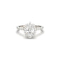 Oval With Pronged Halo And Pavé Diamond Ring - Moissanite Engagement Rings