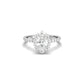 Oval With Pronged Halo And Pavé Diamond Ring - Moissanite Engagement Rings