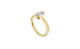 Oval Bezel
