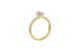 Half-Pave Hidden Halo Solitaire