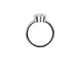 Bezel