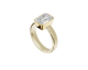 Bezel