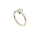 Bezel