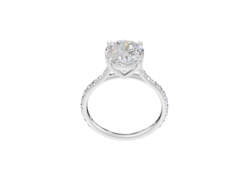 Pave Tulip Solitaire Cathedral