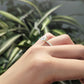 Round Half Pavè & Hidden Halo Moissanite Engagement Ring - Moissanite Engagement Rings