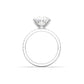 Round Solitaire 6 Claw Half Pavé Moissanite Ring - Moissanite Engagement Rings