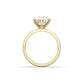 Round Solitaire 6 Claw Half Pavé Moissanite Ring - Moissanite Engagement Rings