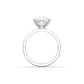 Round Solitaire 6 Claw Pavé Moissanite Engagement Ring - moissaniteengagementrings