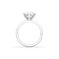 Round Solitaire 6 Claw Pavé - moissaniteengagementrings