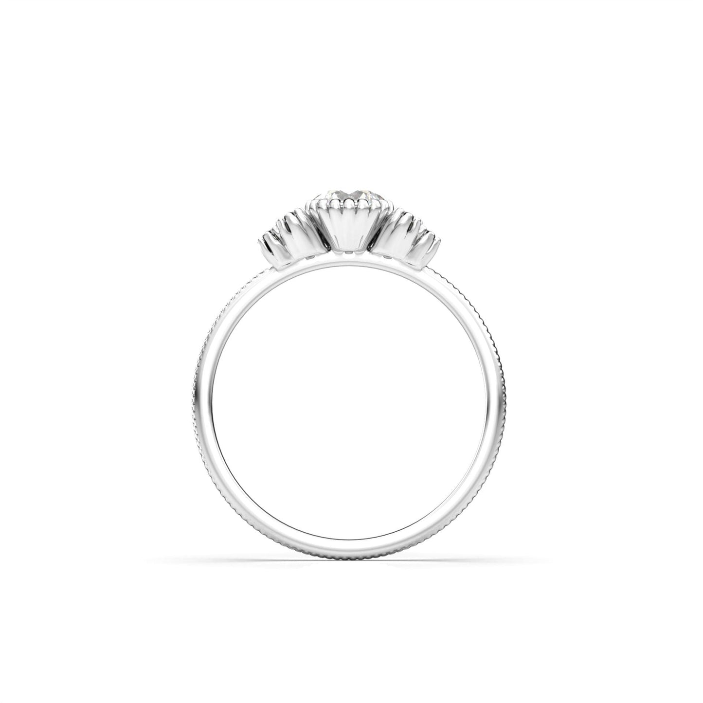 Round Solitaire With Trilogy Clusters And Extra Prongs - moissaniteengagementrings