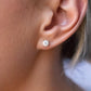 Moissanite Earrings .5 Carats (1ct Total) - moissaniteengagementrings